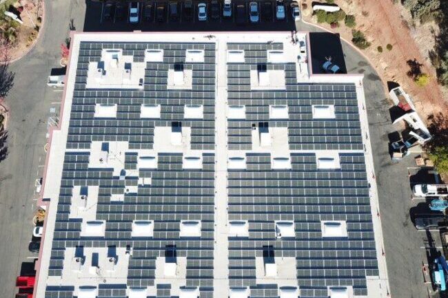 288c63d3-45a9-49d8-a56a-8d05c4c468fa-650x650